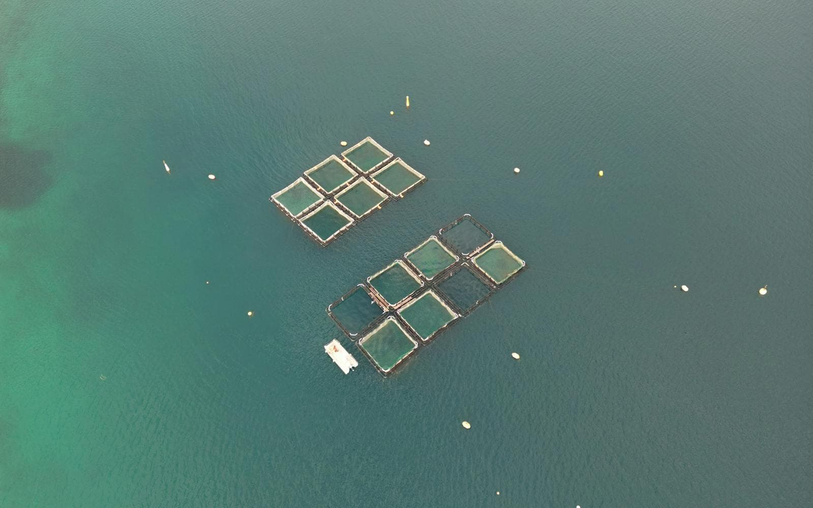 Ocean Net Pens